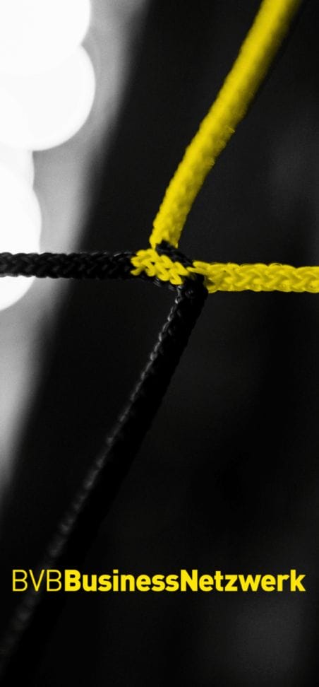 BVB splashscreen