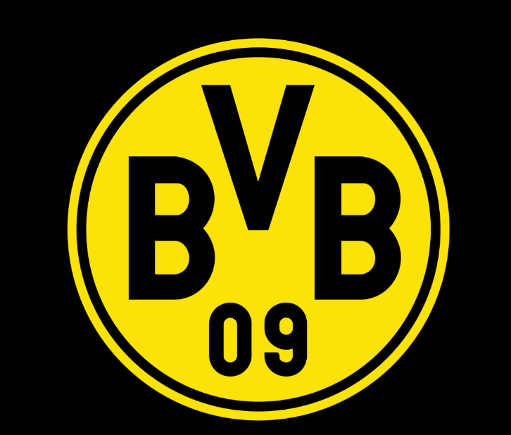 BVB Client Case